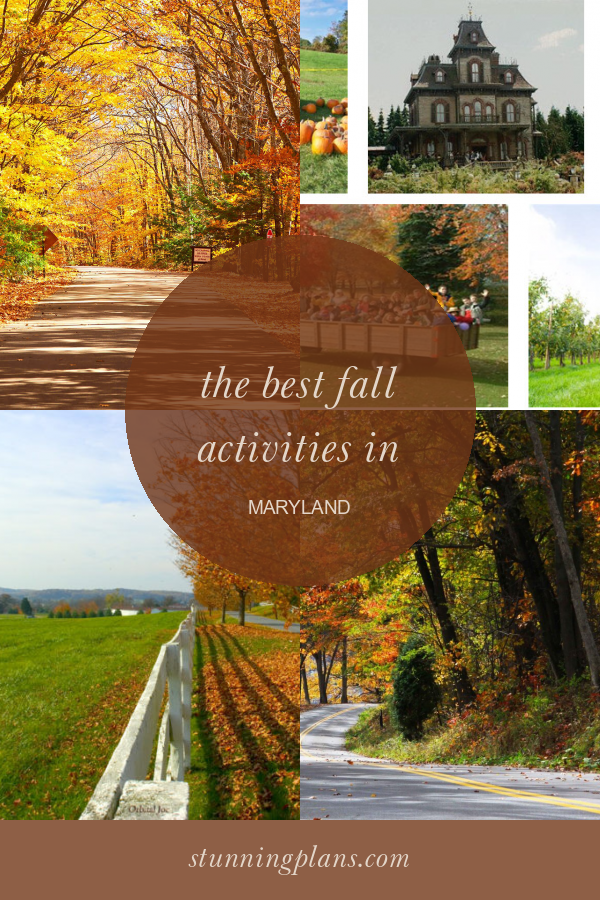 the-best-fall-activities-in-maryland-home-family-style-and-art-ideas